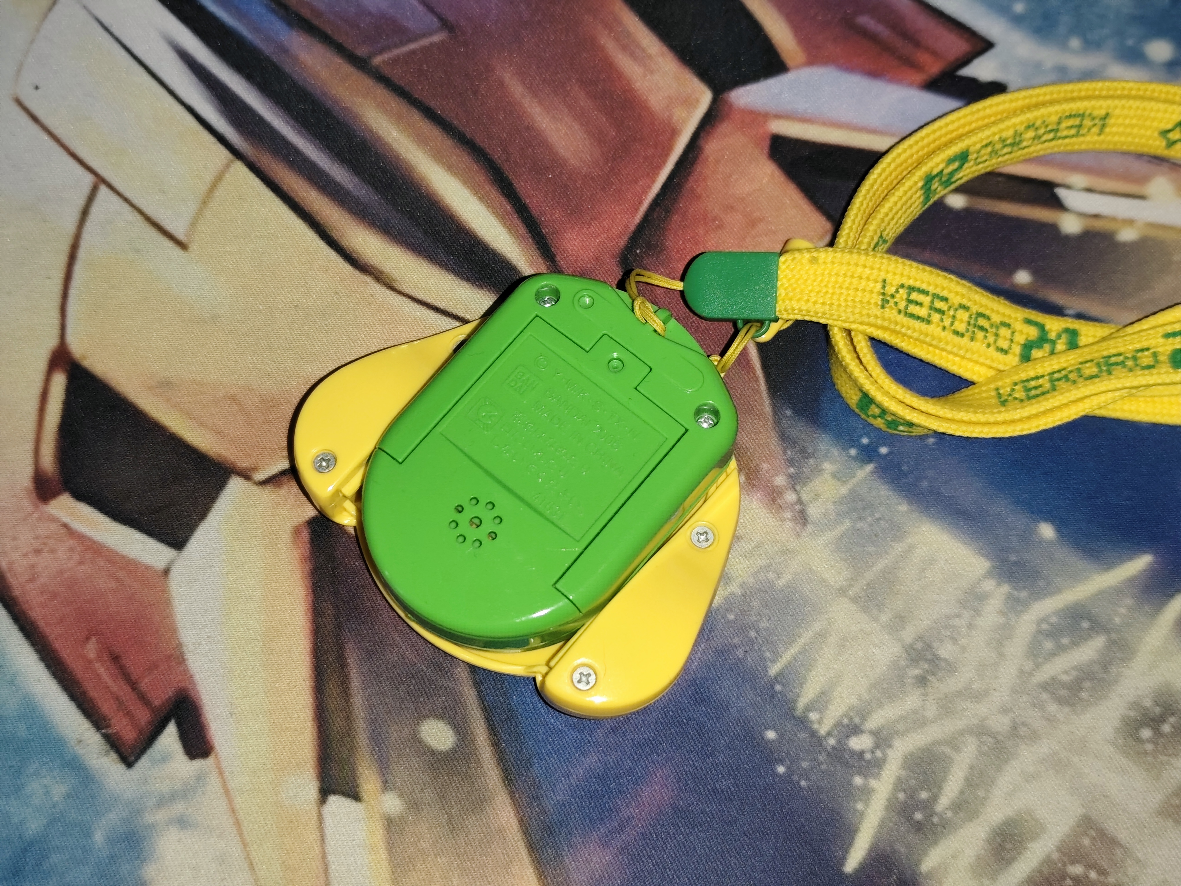 Back of the device